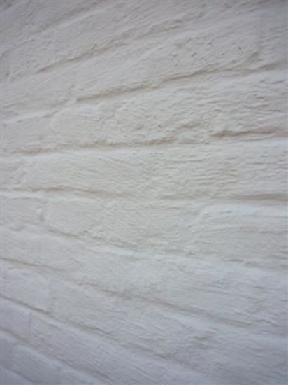 Image de Seifert Fijne Kalei