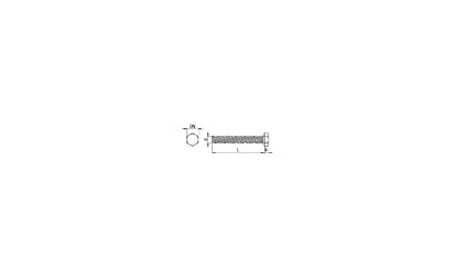 Image de Zeskanttapbout M14 x 100 ZN