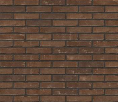 Image de Wienerberger WF Castana Lot