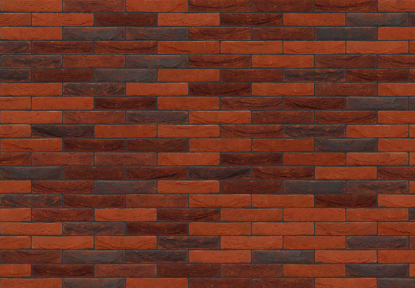 Image de Nelissen Passion Autrique WV50 210x100x50