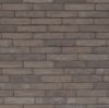 Image de Wienerberger Pagus Grijs WF 210x100x50