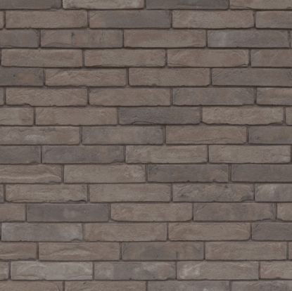 Image de Wienerberger Pagus Grijs WF 210x100x50