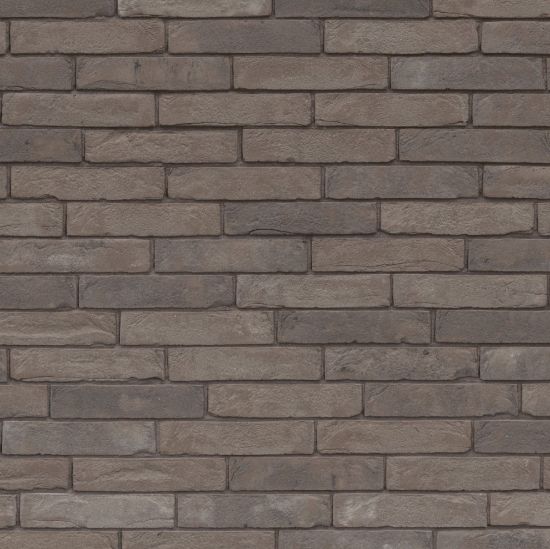Image de Wienerberger Pagus Grijs WF 210x100x50